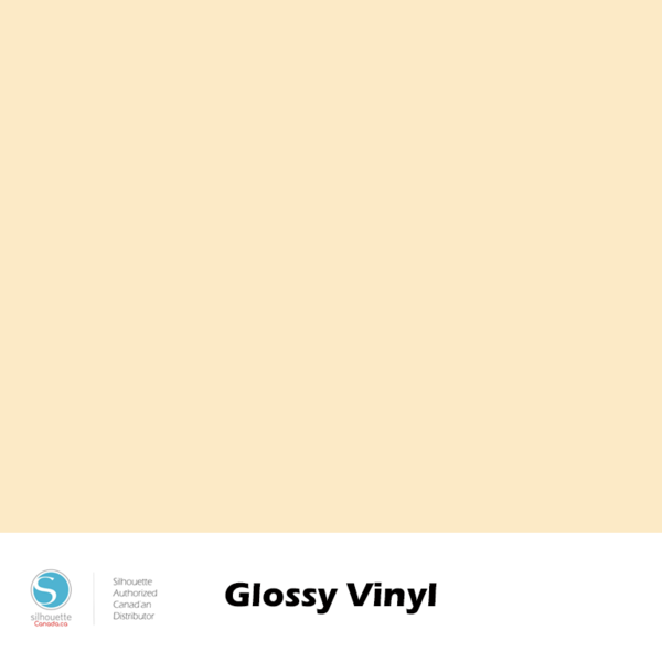 Glossy Vinyl - 12"
